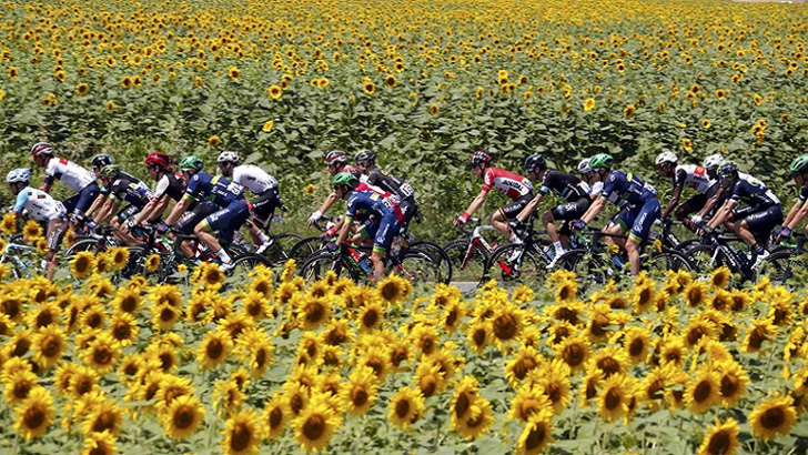 Fun Facts and Amusing Tales of the Tour de France